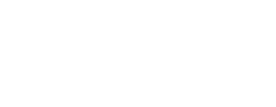 VIP Limo